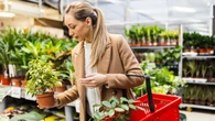 Un experto advierte sobre una planta peligrosa que se vende en todas las tiendas de jardinería: "Tenemos que dejar de comprarla"