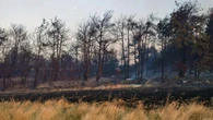 La lucha de Turquía contra varios incendios, en medio de una ola de calor que supera los 40 grados