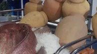Los pescadores marroquíes protestan porque se les obligue a utilizar vasijas de barro para la pesca del pulpo