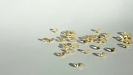¿Mañana o noche? Esto dicen los expertos sobre cuándo tomar vitamina D