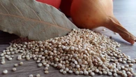 El poder mágico de la quinoa: ayuda a reprogramar el sistema inmunológico para prevenir enfermedades metabólicas crónicas