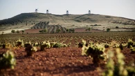 La Mancha: "slowsummer" entre viñas, molinos y estrellas