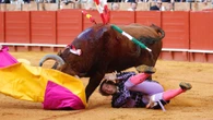 Javier Ambel corneado en Sevilla por el tercero