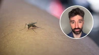 David Callejo, médico: “¿Te pican muchos los mosquitos? Hay explicación científica y una manera de evitarlo”