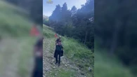 La "aventura" de 50 niños rescatados por la Guardia Civil tras perderse en un monte en La RIoja