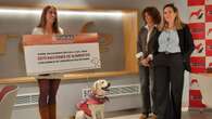 Renfe renueva su compromiso para que las mascotas puedan viajar