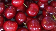 La UE lanza una alerta alimentaria "grave" por cerezas españolas contaminadas