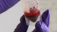 Japón desafía la biología con sangre artificial sin restricciones