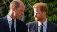 No habrá paz para Harry y William (al menos en público)