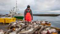 Islandia se harta y quiere seguir el camino de Venecia para frenar el 