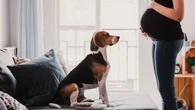 El baby boom de los "perrhijos": ¿cuesta más tener un hijo o un perro?