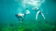 La música en directo continúa con su crecimiento imparable: llegan la moda de los ¡conciertos submarinos!