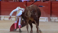 Marco Pérez, con fisura en la cadera, baja indefinida tras una cogida en Alicante