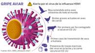 Detectan el primer caso grave de gripe aviar en humanos