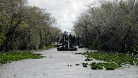 Alligator Alcatraz: así será la nueva y temible cárcel para inmigrantes rodeada de serpientes y caimanes de Florida