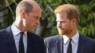 Los cinco momentos que acabaron con la relación entre Harry y William