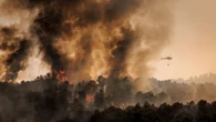 Una agrupación de abogados se ofrece a prestar atención gratuita a las víctimas de los incendios forestales en Portugal