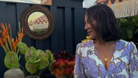El vestido Laura de Tamara Falcó es de marca española, de 'efecto vientre plano' y además está mega rebajado