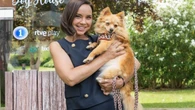 RTVE elige la noche de los martes para estrenar su nuevo programa de adopciones 'Dog House'