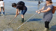 El "pescaturismo", un salvavidas económico para la maririzada flota pesquera española