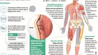 La terapia dirigida de precisión llega al tratamiento del sarcoma