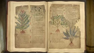 La medicina medieval era más sofisticada de lo que se creía y algunos de sus remedios son hoy tendencia en TikTok