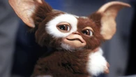 'Gremlins 3', en el aire: depende del visto bueno de Spielberg