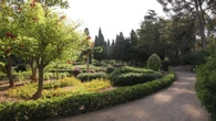 Un experto advierte sobre una tendencia preocupante en los jardines que se está extendiendo: "Una epidemia en el paisajismo"