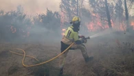 El PSOE, a lo suyo: lleva al Senado medidas de apoyo al sector forestal