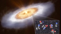 No solo la vida, la evolución también llegó del espacio