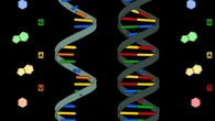 Científicos hallan la posible clave química del origen del ARN