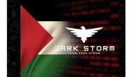 Dark Storm, el grupo de ciberterroristas palestinos que atacan aeropuertos, hospitales y a Elon Musk