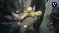 544 días en un laboratorio de experimentación animal: el caso Vivotecnia en un documental