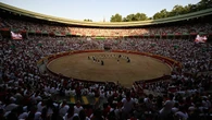 Pamplona hace caja alrededor del toro