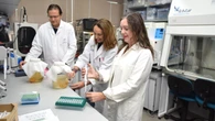 Crean una kombucha en España a partir de vino con alto potencial antioxidante y antiinflamatorio