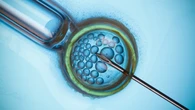 Un fármaco en investigación promete reducir los fracasos de la reproducción asistida