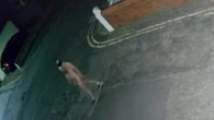 Un hombre desnudo equipado con una máscara sadomasoquista paraliza por las noches esta ciudad británica