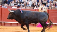 Por qué el toro "Mosquetón" de Victorino Martín mereció la vuelta al ruedo en Sevilla (y qué significa)
