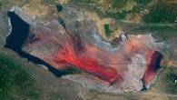Uno de los lugares más hostiles del planeta: el lago que momifica animales y protege a flamencos