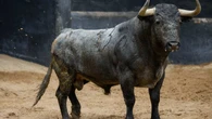 Estos son los espectaculares toros de Victorino Martín para hoy en Sevilla