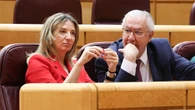 El Senado tramita una ley para evitar que los terroristas pueden concurrir a elecciones sin arrepentirse