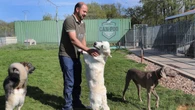 Sanitas incorpora un seguro para mascotas que ofrece un reembolso del 80% en asistencia veterinaria