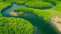 Por qué no hay (ni habrá) puentes para cruzar el Amazonas pese a que se puede atravesar a pie