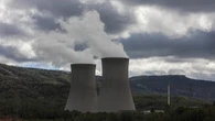 Un "enjambre masivo" de medusas logra paralizar una de las centrales nucleares más grande de Europa