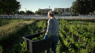 Cuatro de cada empresas agrícolas está al borde del impago