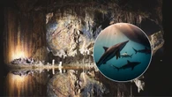 Descubren dos nuevas especies de tiburones en la cueva más grande del mundo: 325 millones de años de historia