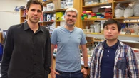 Descubren una nueva "mina de oro" con potencial antimicrobiano: las arqueas