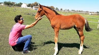 Farmacéutico y criador de caballos de alta competición