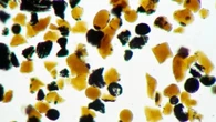 ¿Por qué la NASA está investigando estas estructuras naranjas de la Luna?