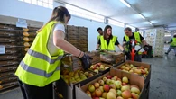 Calienta motores la sexta edición de la campaña "Ningún hogar sin alimentos"